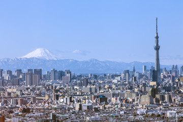 Obraz premium 富士山と東京スカイツリーと東京の街並みを望む雄大な日本の風景