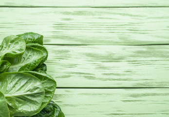 Obraz premium Salad on the green wooden background.