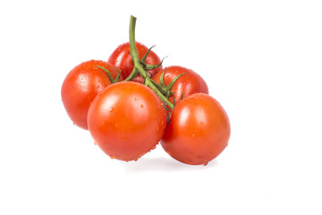 ripe juicy tomato branch