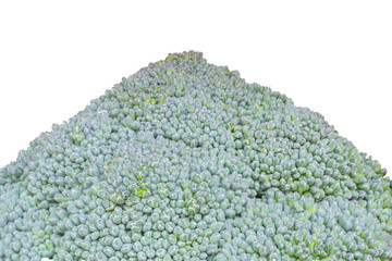 Closeup of broccoli isolated on white background