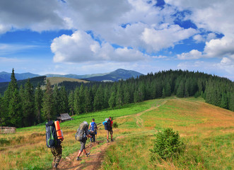 Fototapeta na wymiar Group of hikers in the mountains, view of Carpathians mountains in Ukraine