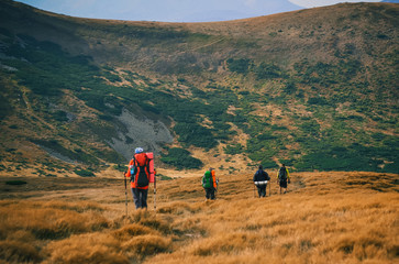 Obraz premium Group of hikers in the mountains, view of Carpathians mountains in Ukraine