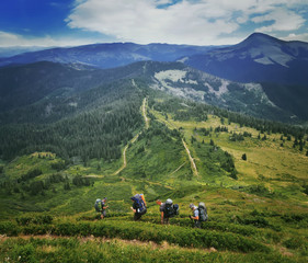 Fototapeta na wymiar Group of hikers in the mountains, view of Carpathians mountains in Ukraine