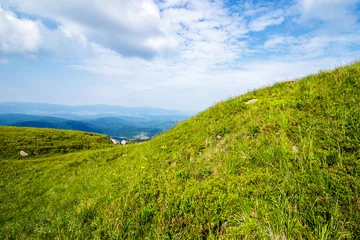 Foto op Plexiglas green grass on hillside meadow © Pellinni