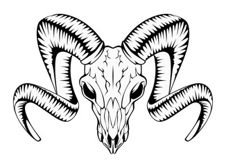 Ram skull