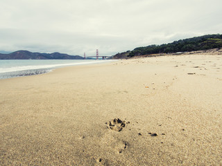 Fototapeta na wymiar Golden Gate in San Francisco, USA