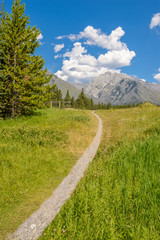 Fragment of a nice trail at Bow Lake in Alberta, Banff National Park, Canada.