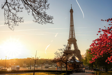 Eiffel Tower with spring tree in Paris, France