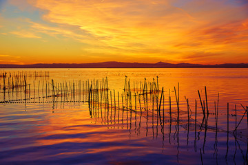 Fototapeta premium La Albufera lake sunset in El Saler of Valencia