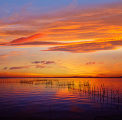 Obraz na płótnie Canvas La Albufera lake sunset in El Saler of Valencia