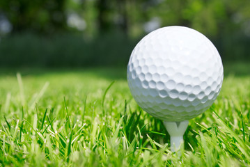 Golf ball on tee