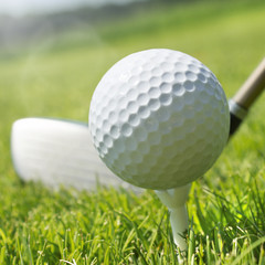 Golf club and ball in grass