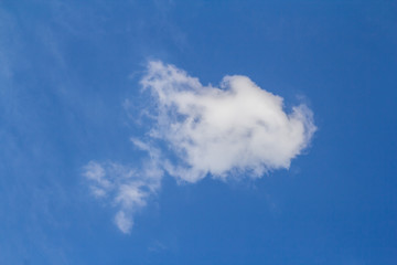 White Fluffy cloud in the blue sky