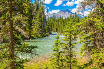 Fototapeta na wymiar Fragment of Five Lakes trail in Jasper, Alberta, Canada.