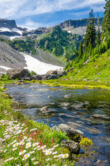 Beautiful Mountain River at the Bagley Lakes Trail at Mount Baker Park in Washington, USA