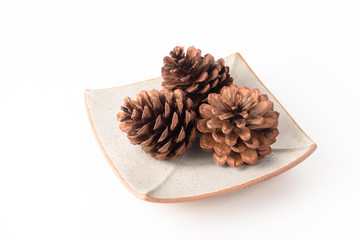 Group of Brown Pine Cone on Plate Isolate White Background