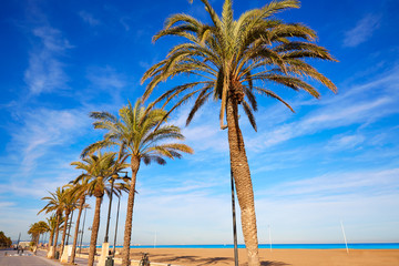 Valencia La Malvarrosa beach palm trees Spain