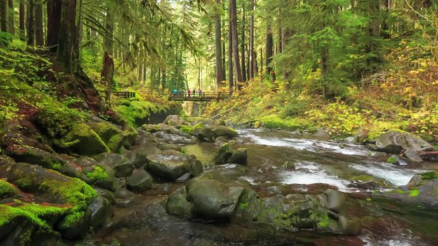 Sol Duc , Olympic National Park, USA
