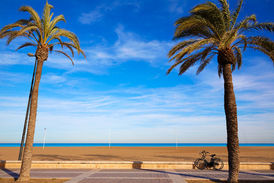 Valencia La Malvarrosa beach palm trees Spain