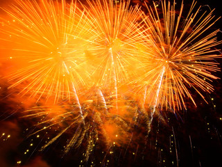 Fototapeta premium Holiday fireworks