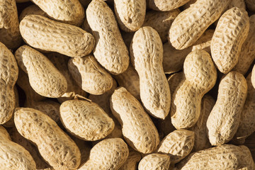 peanuts in shell
