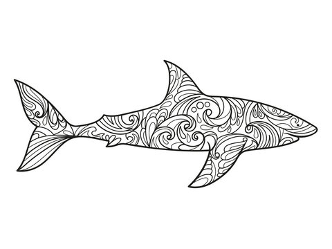 Shark Coloring Book For Adults Vector