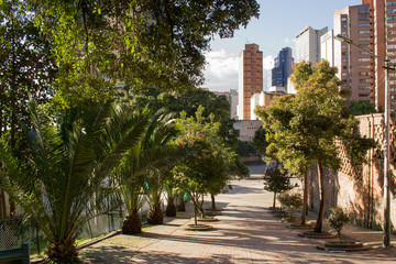 Fototapeta premium Tree filled street in Bogota, Colombia