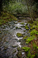 Creek