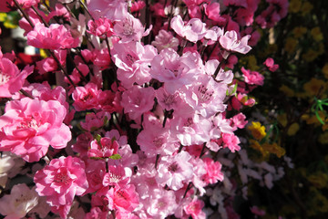 Pink tree artificial flowers