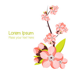 Almond or apricot branch in blossom. Template for greeting card and invitation