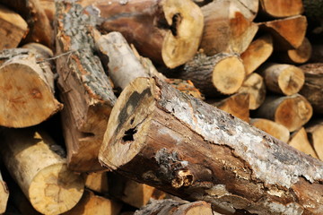 firewood background and texture, beech wood