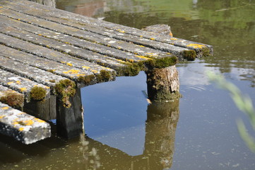 Plattform with fishpond