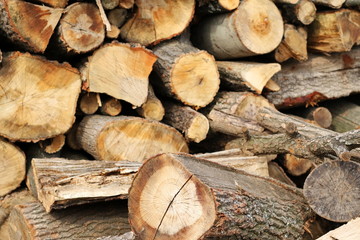 firewood background and texture, beech wood