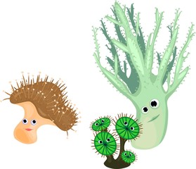 inhabitants of marine aquarium on white background