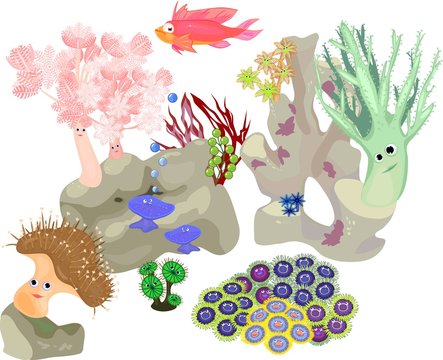 inhabitants of marine aquarium