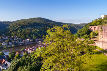 Fototapeta na wymiar Cityscape of the Heidelberg