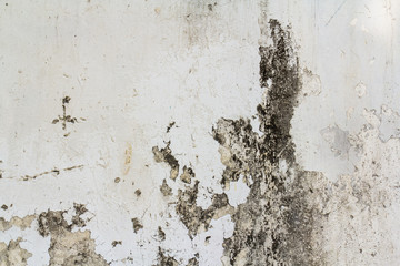 Grunge Cement Surface Texture Background