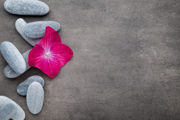 Spa stones and flowers, on grey background.