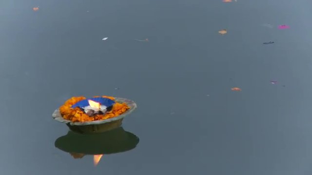 Flower candle floats on ganges river