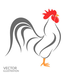 Rooster. Isolated bird on white background © Aleksei_7799