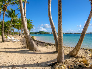 Coconut palms, turquoise sea, white beach and two chairs by the beach shore. Sainte-Anne Guadeloupe, Antilles, Caribbean.