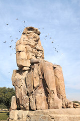 Colossus of Memnon with pigeons, Luxor Egypt