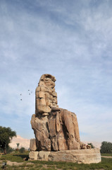 Fototapeta na wymiar Colossus of Memnon Luxor, Egypt