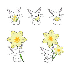 Naklejka premium Bunny Collection with Daffodils
