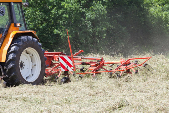 Rotary hay rake turning dried pasture grass for baling for hay to be used as winter feed for  farm livestock