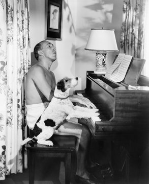 Man playing a piano with his dog next to him 