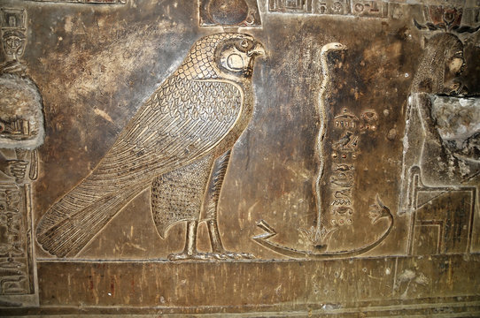 Ancient egyptian carving in stone of the god Horus