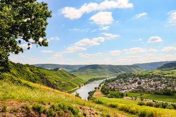 Fototapeta na wymiar View to river Moselle and Marienburg Castle near village Puenderich - Mosel wine region in Germany