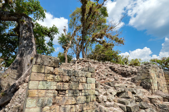 Copan archaeological site of Maya civilization in Honduras