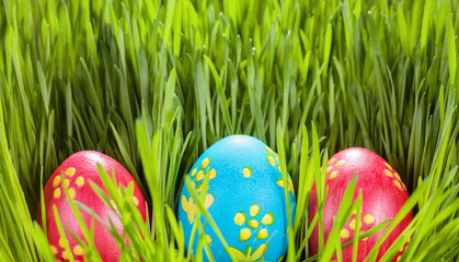 easter eggs on green grass. Spring concept.